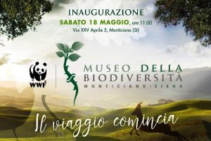 Monticiano_Museo della biodiversità