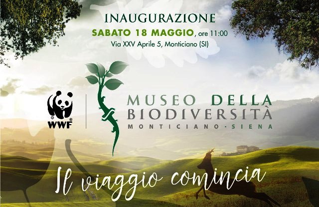 Monticiano_Museo della biodiversità