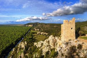 Parco Maremma_bioblitz