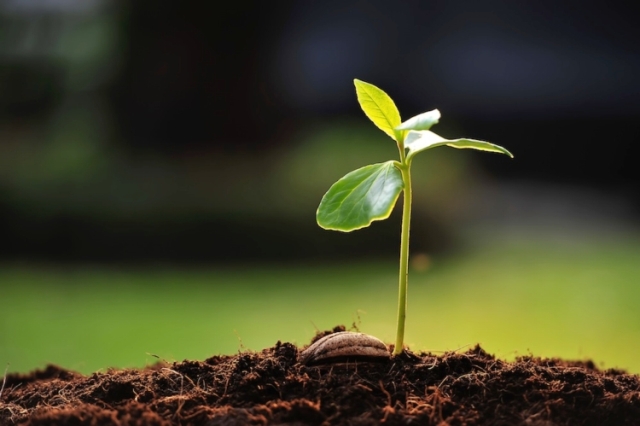 biodiversità