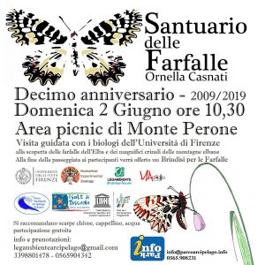 farfalle anniversario