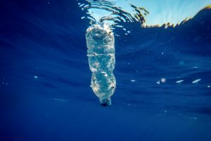 Foto di Francesco Alesi, Greenpeace