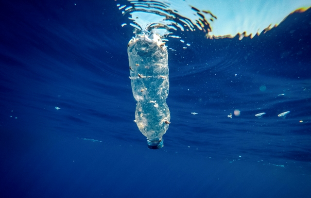 Foto di Francesco Alesi, Greenpeace