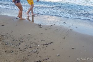 Nascita delle tartarughine a Straccoligno nel 2018 (foto famiglia D'Ambrosio)