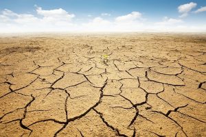 desertificazione-toscana-ambiente
