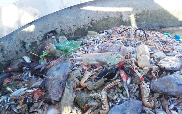 pescatori-bocca-di-serchio-plastica-toscana-ambiente