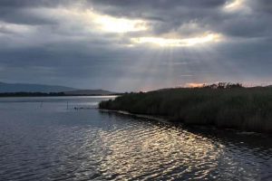 Oasi Lago di Burano_1