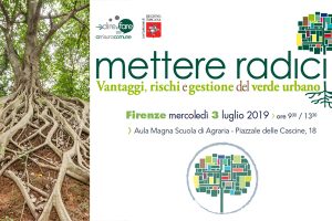 radici-alberi-toscana-ambiente