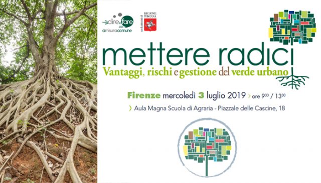 radici-alberi-toscana-ambiente