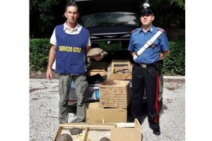 Foto da Comando provinciale dei Carabinieri di Firenze