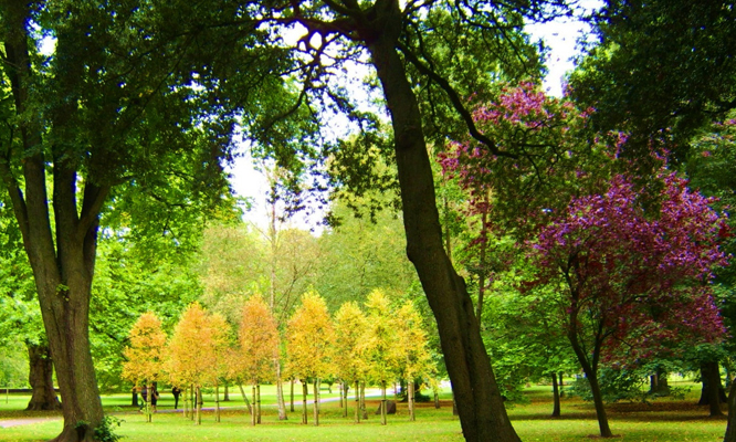 parchi-comuni-toscana-ambiente