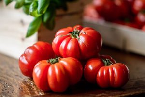 pomodori-orticoltura-toscana-ambiente