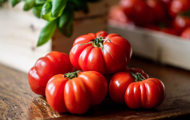 pomodori-orticoltura-toscana-ambiente