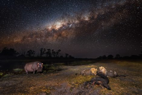 Foto di Hannes Lochner.