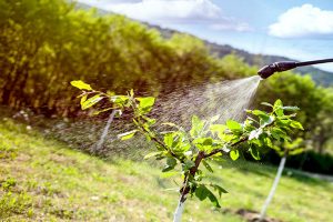 fitofarmaci-pesticidi-toscana-ambiente