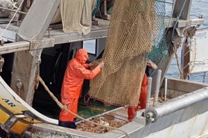 Uno dei pescherecci coinvolto nel progetto 'ArcipelagoPulito'. (Foto Regione Toscana)