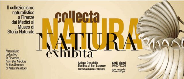 natura-collecta-exhibita-firenze-toscana-ambiente