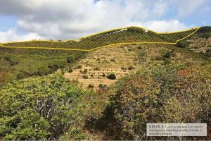 Il crinale di collina destinato a scomparire secondo uno studio di Legambiente Arcipelago Toscano.