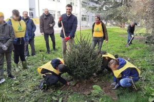 I ragazzi della scuola media di Lammari piantano gli alberi nel giardino della scuola. Al centro l'assessore all'Ambiente Giordano Del Chiaro