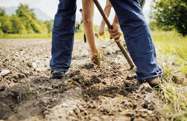 agricoltura-biodinamica-firenze-toscana-ambiente