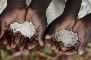 alimentazione-toscana-ambiente