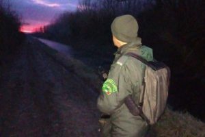 Un appostamento all'alba di una Guardia giurata del Wwf Toscana