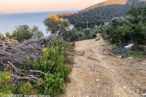 Galenzana-Capo Poro, allargamento di un sentiero pedonale in area protetta (foto Legambiente Arcipelago Toscano)