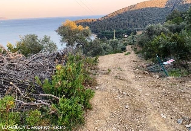 Galenzana-Capo Poro, allargamento di un sentiero pedonale in area protetta (foto Legambiente Arcipelago Toscano)