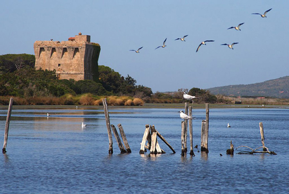 Lago di Burano (Foto da Wwf Italia)