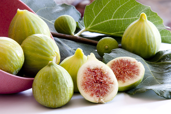 fig with leaf