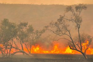 incendi-e-cambiamenti-climatici-toscana-ambiente