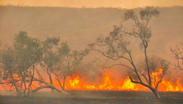 incendi-e-cambiamenti-climatici-toscana-ambiente