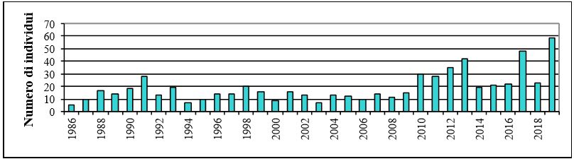 trend-spiaggiamenti-cetacei