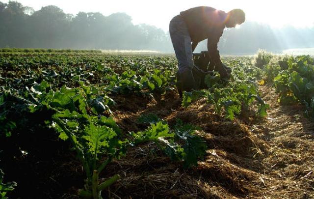 agricoltura-biodinamica