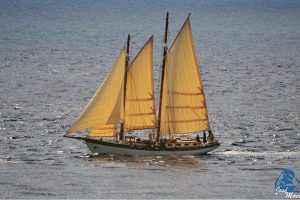 Il veliero “Mahayana”. (Foto da Wwf Travel).