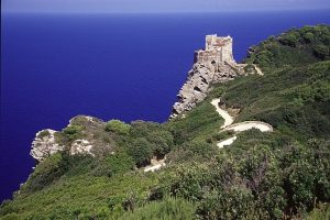 La rocca sul mare (foto Parco Nazionale Arcipelago Toscano)