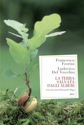 La-terra-salvata-daglia-alberi-toscana-ambiente