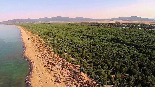 Pineta del tombolo Toscana-ambiente