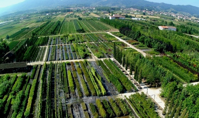 Vivai Pistoia Toscana-ambiente