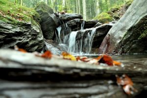 Foto Parco nazionale delle foreste casentinesi