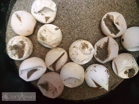 Alcune uova distrutte (foto tartAmare)