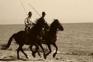 Maremma butteri a cavallo