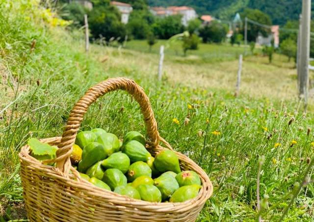 Lunigiana-agriturismo-montagna-Verde