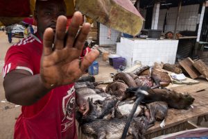 Brent Stirton, Siena Awards, Toscana ambiente.