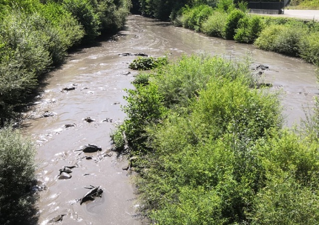 Torrente Limentra ponte Venturina