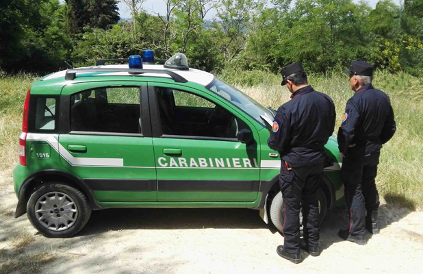 Impruneta, Carabinieri forestali, Toscana ambiente.