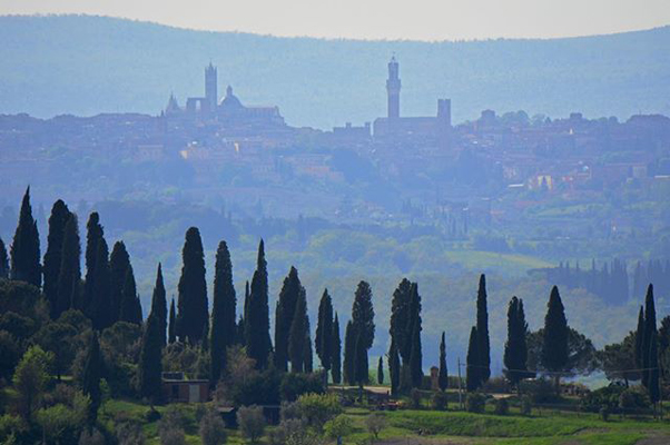 Foto da visitcretesenesi.com