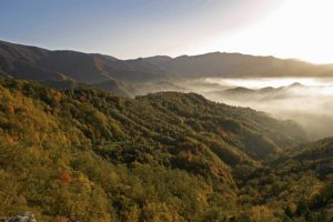 Oltreterra. parco delle Foreste Casentinesi, Montagna-Toscana, ambiente.