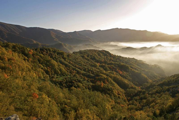 Oltreterra. parco delle Foreste Casentinesi, Montagna-Toscana, ambiente.