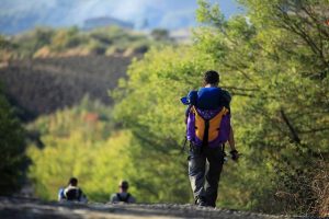 Via Francigena-Radicofani